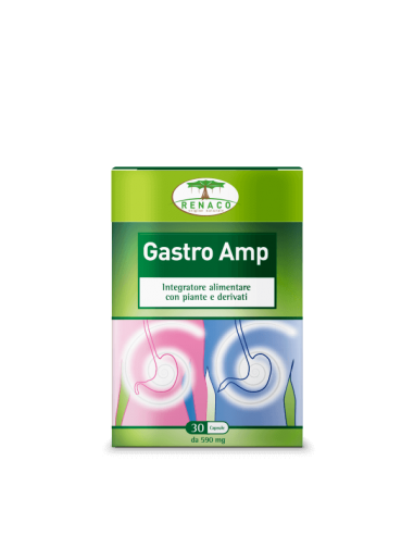 Gastro amp
